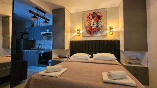Apartment Dalmatino-Lion - 9