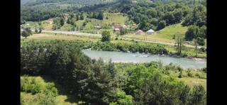 Pine corner Mojkovac - Mojkovac - 1
