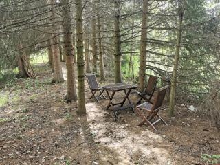 Pine corner Mojkovac - Mojkovac - 5