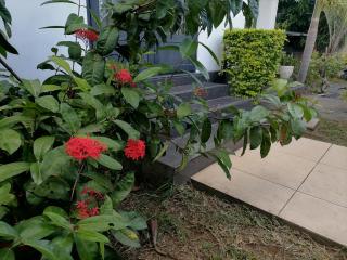 KG LODGE Calodye Mauritius - 1