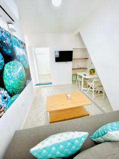 Sotavento Malandar - 3