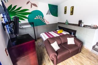 Tiny house Comulco con aire acondicionado. - 6