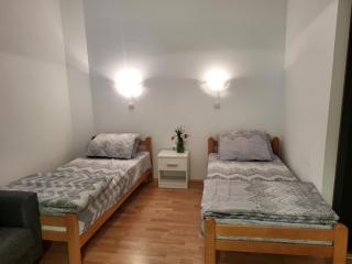 Studio Janko - Vrnjačka Banja - 1