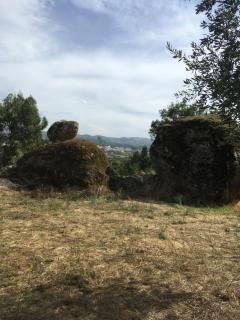Arpuro - Gouveia - 6