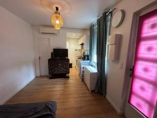 Magnifique F2 aéroport d Orly - 5