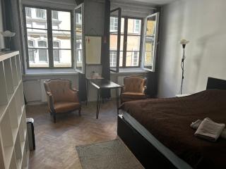 Private Apartament Wroniecka 6 - parking - Poznań - 9