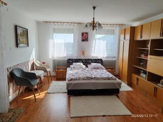 Panoráma Holiday Home - Badacsonyörs - 7