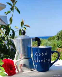 Il giardino di Alessandra - 9