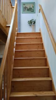 Buddleia - 6