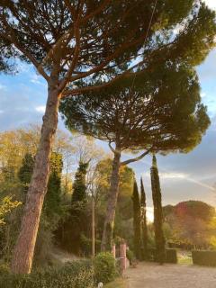 Villa Rosella alt - Crespina - 9