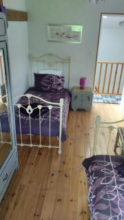 Buddleia - 2