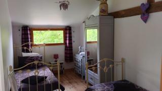 Buddleia - 3