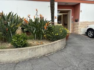 Appartamento Angela - Riva Ligure - 6