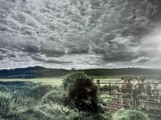 Le gîte de la vieille poste - 5