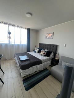 Apartamento en Santiago centro cerca de movistar arena, caupolican - Santiago - 4