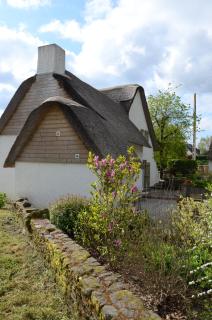 Chaumière de charme en Brière - Saint-Lyphard - 1