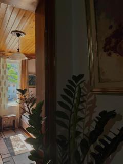 Andria's Apartment - Gjirokastër - 1