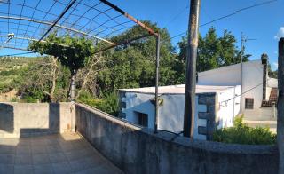 Kitharida garden - 5