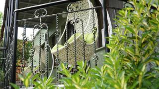 Eleven Guest House - 8
