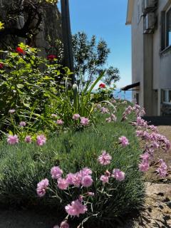 Apartments Mandic - Doma - 2