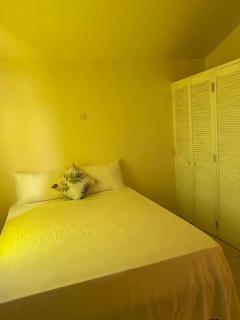Jennelia's Place - Montego Bay - 7