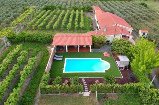 Olive by Nature Yards - Aldeia de Joanes - 0