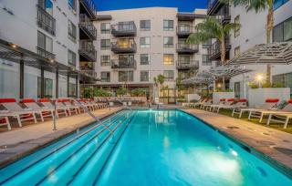 Hollywood Penthouse with Balcony & Pool View - 1