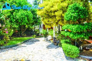 Castle Bay Resort - Weligama - 6
