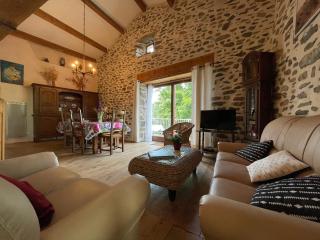 Grange restaurée avec terrasse et wifi à La Bastide - FR-1-582-178 - Retournac - 8