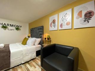 Harmony loft - Wifi de 200 mb muy cercano a todo - Carmen de Viboral - 3