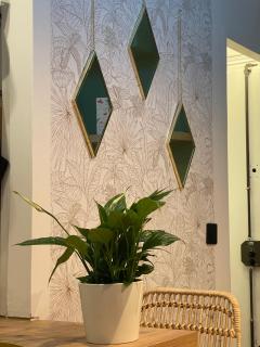 Le petit Cocon Parisien - 3