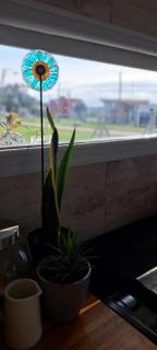 Oceana Casa de Mar - 6