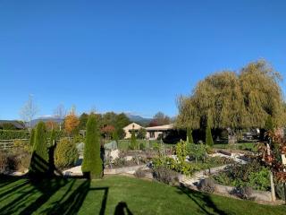 Willow Cottage Retreat - Brightwater - 3