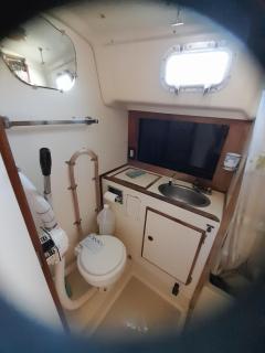 Sailboat Valhalla, Tilly's Sail Tours - Siaton - 1