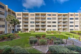 Bright beachfront on no-drive beach - New Smyrna Beach - 2
