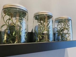 Puchong Britain Elegance ll 2-5 pax - 6