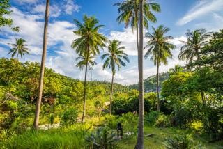 Echo Beach Hostel - Ban Tai - 5