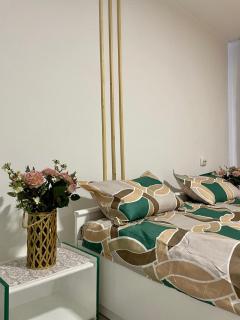 Apartament House Sasca - Oradea - 9