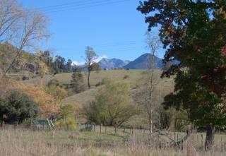 Orinoco Country Retreat - 5