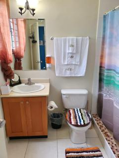 The Darling Hive - Spanish Town - 5