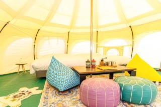 TACO GLAMP - Katori - 1