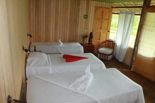 amazon jaguar lodge - Iquitos - 5