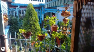 Casa de vacanta Puiu - 8