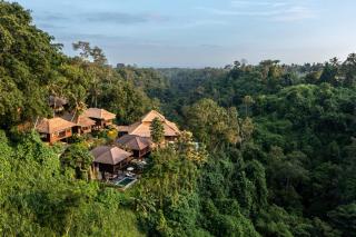Natura Villa Ubud Bali - Ubud - 9