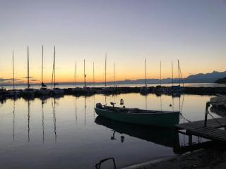 Villa moderne, à 2 pas du lac Léman - Sciez - 4