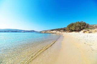 Paros Hospitality by the sea - Kampos Páros - 2