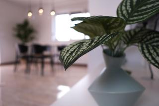 Seaside Serenity "Earth" with pool, 150m from sea - 8