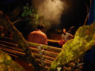 Oerwoud Tentcamp - Viripara - 1