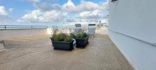 PugliaMia Casa, terrasse vue mer, 3 chambres, 2 salles d'eau - Carovigno - 9