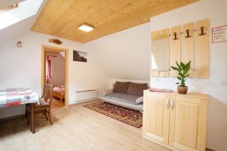 Apartments and rooms Kravanja - Trenta - 4